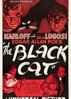 Poster The Black Cat