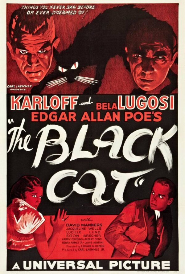 Poster The Black Cat