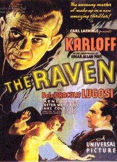 Poster The Raven