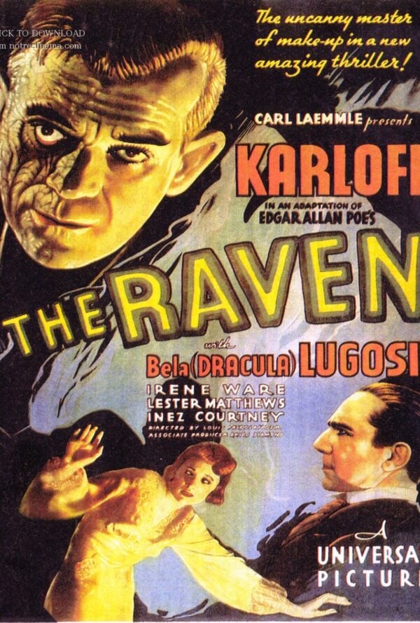 Poster The Raven