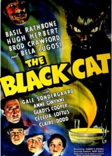 Poster The Black Cat