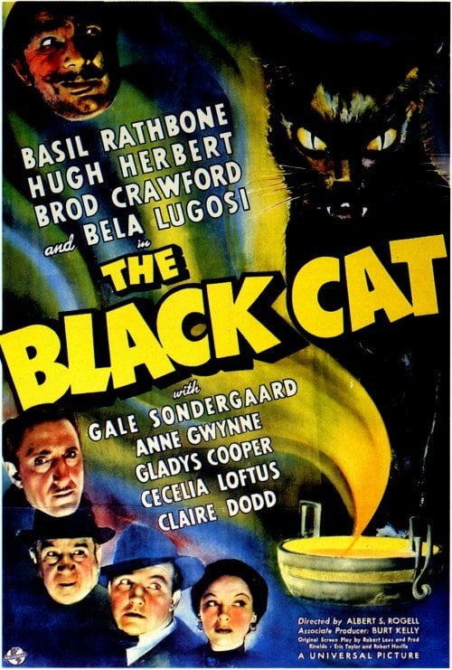 Poster The Black Cat