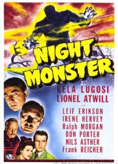 Poster Night Monster