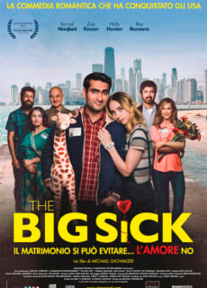 Poster The Big Sick – Il matrimonio si può evitare, l’amore no