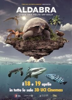 Poster Aldabra – C’era una volta un’isola