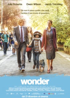 Poster Wonder