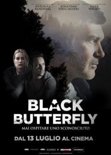 Poster Black Butterfly