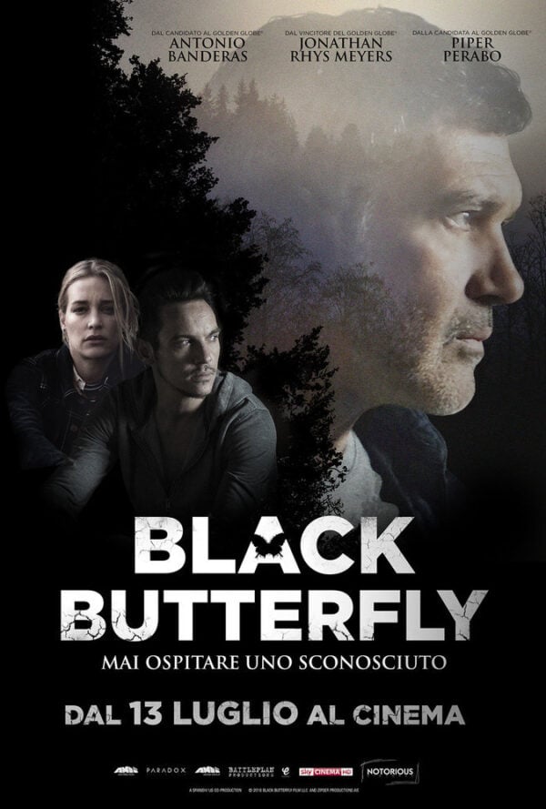 Poster Black Butterfly