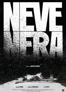 Poster Neve nera