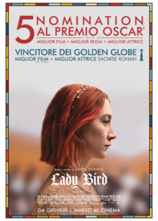 Poster Lady Bird