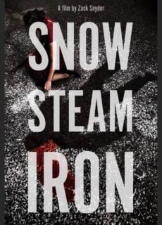 Poster Snow Steam Iron