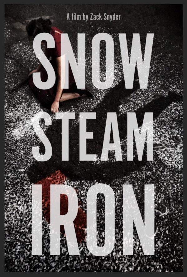 Poster Snow Steam Iron