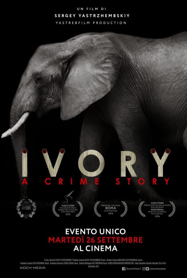 Poster Ivory. A Crime Story