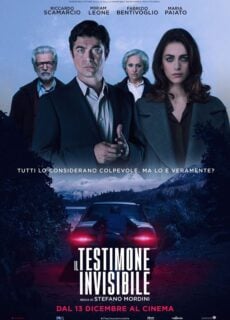 Poster Il testimone invisibile