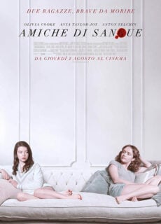 Poster Amiche di sangue