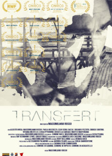 Poster Transfert