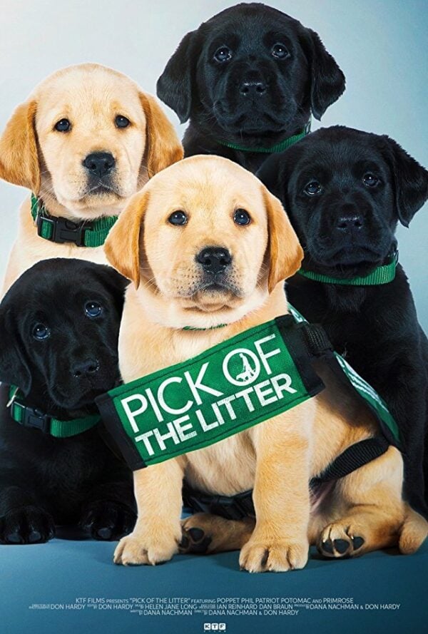 Poster Pick of the Litter