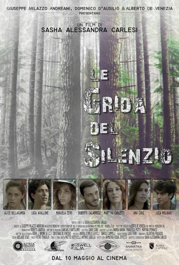 Poster Le grida del silenzio