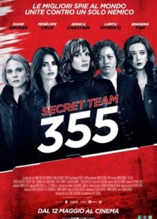 Poster Secret Team 355