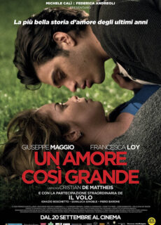 Poster Un amore così grande