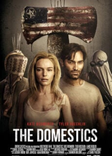 Poster The Domestics