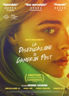 Poster La diseducazione di Cameron Post