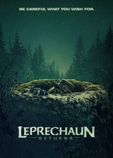 Poster Leprechaun Returns