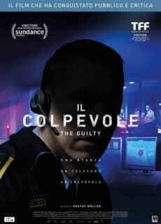 Poster Il colpevole