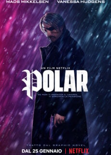 Poster Polar