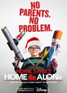 Poster Home Sweet Home Alone