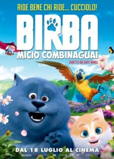 Poster Birba Micio Combinaguai