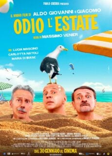 Poster Odio l’estate