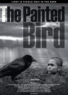 Poster The Painted Bird