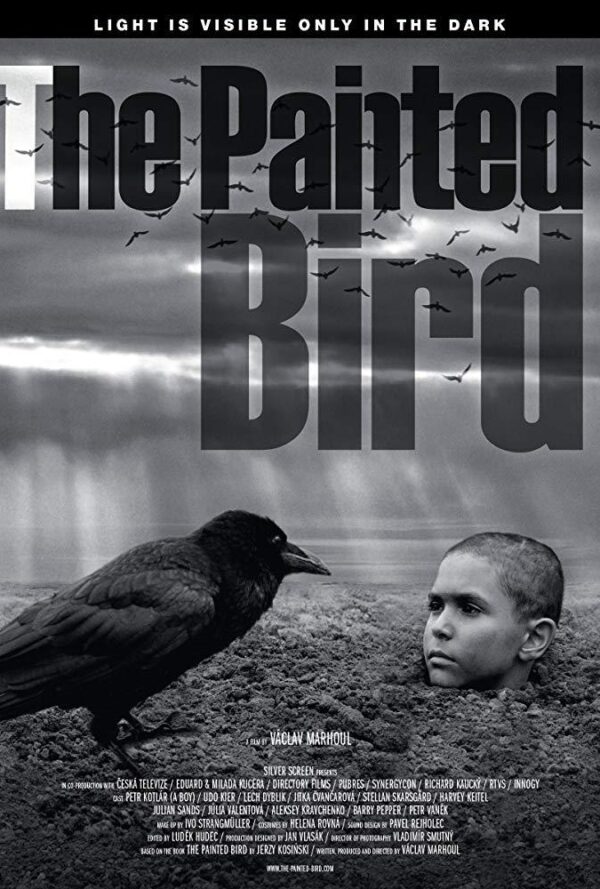 Poster The Painted Bird