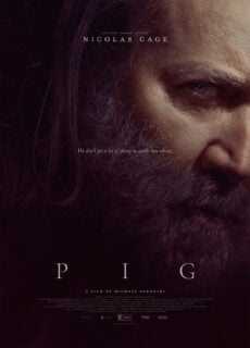 Poster Pig