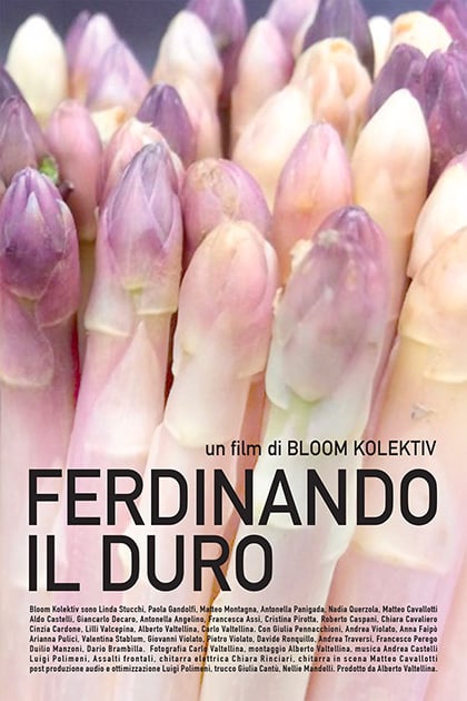 Poster Ferdinando il duro