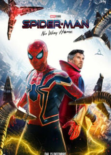 Poster Spider-Man: No Way Home