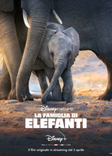 Poster La Famiglia di Elefanti