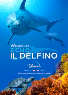 Poster Echo, Il Delfino