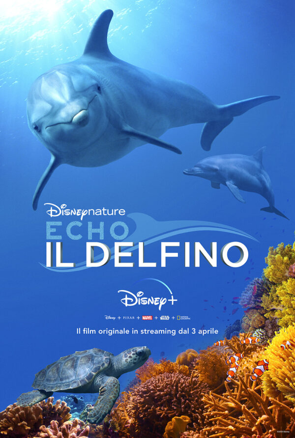 Poster Echo, Il Delfino