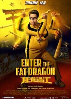 Poster Enter the Fat Dragon