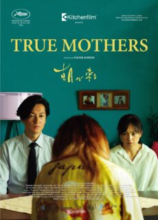 Poster True Mothers