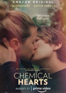 Poster Chemical Hearts