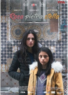 Poster Rosa pietra stella