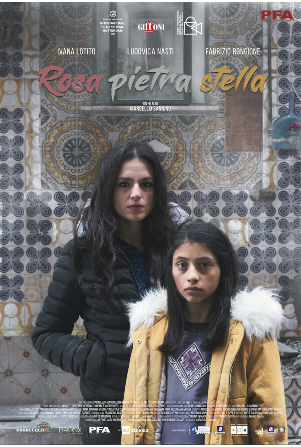 Poster Rosa pietra stella