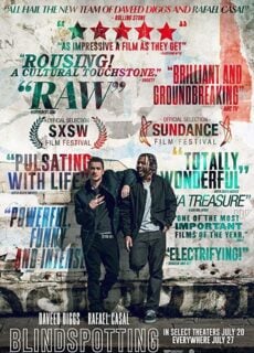 Poster Blindspotting