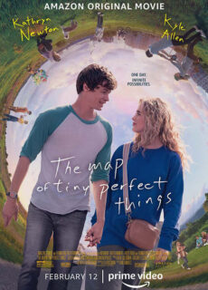 Poster The Map of Tiny Perfect Things