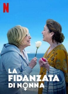 Poster La fidanzata di nonna