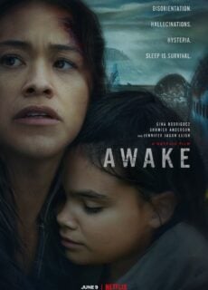 Poster Awake