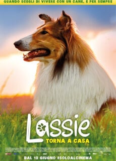 Poster Lassie torna a casa